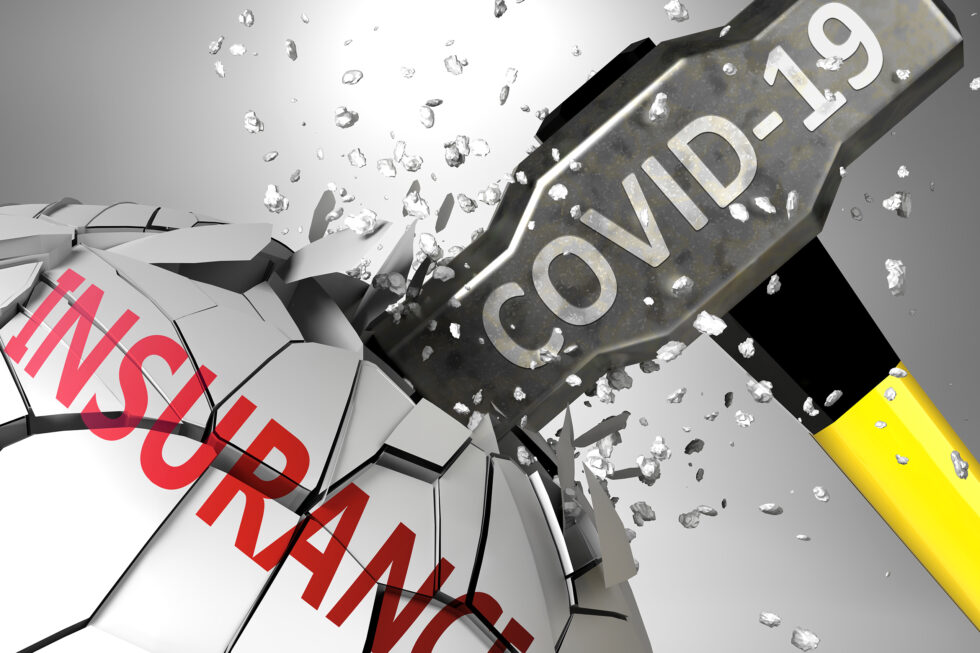 Personal Insurance Support during the COVID-19 Pandemic